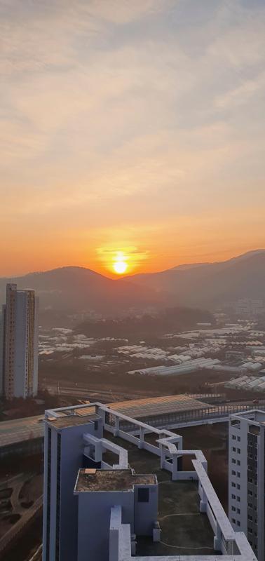 버뮤다삼각주