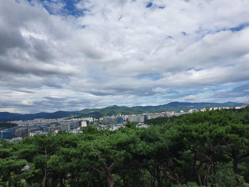 컨텐츠파일