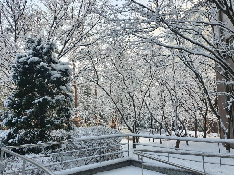 컨텐츠파일