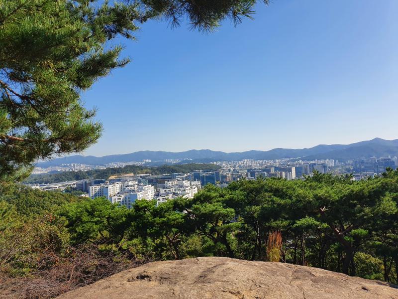 컨텐츠파일