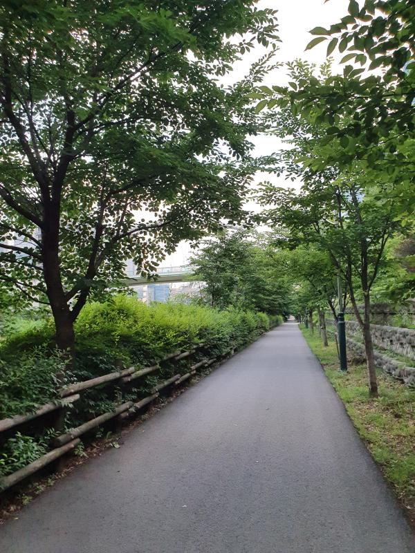 어부인