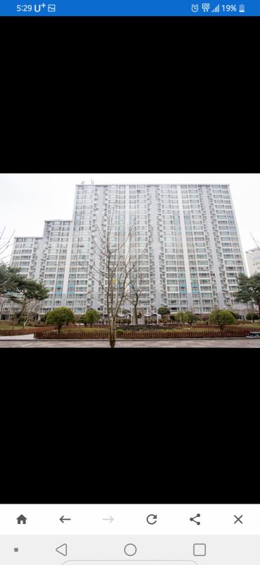 컨텐츠파일