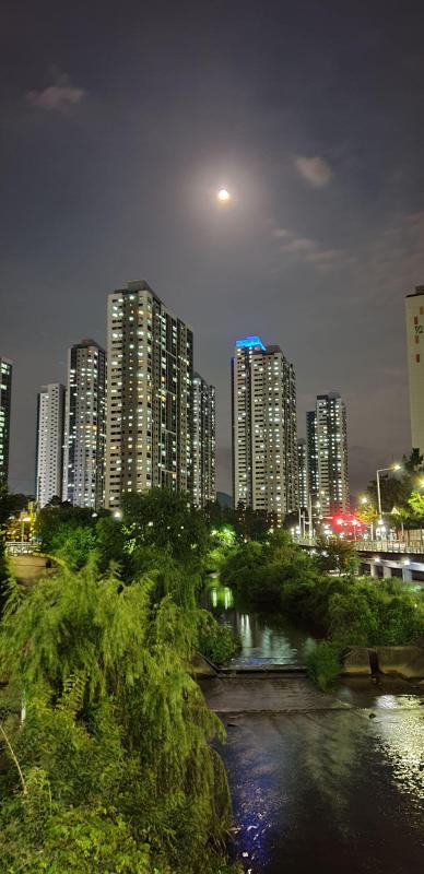 컨텐츠파일